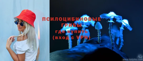 mdpv Алексин