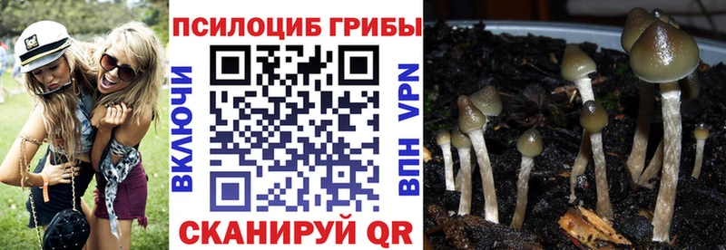 Галлюциногенные грибы Magic Shrooms  хочу наркоту  Выкса 
